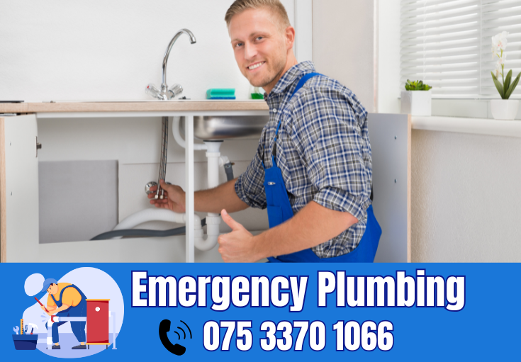  plumber Farningham