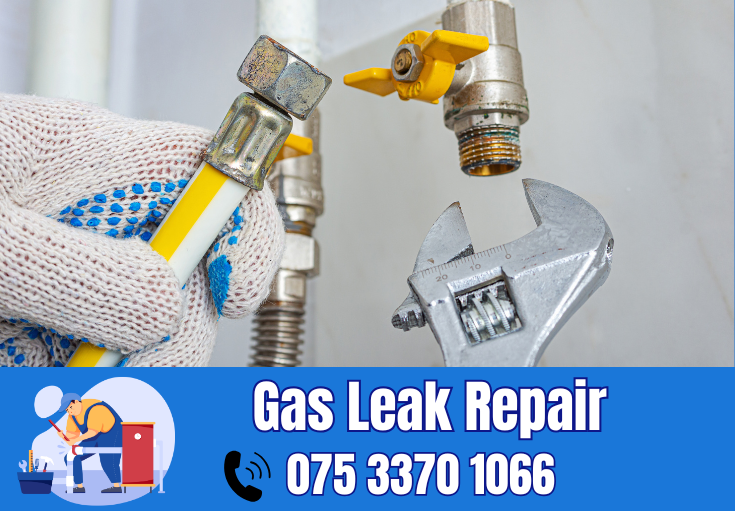 gas leak repair Darenth