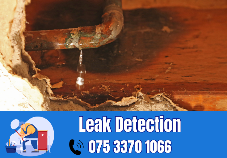 leak detection Darenth